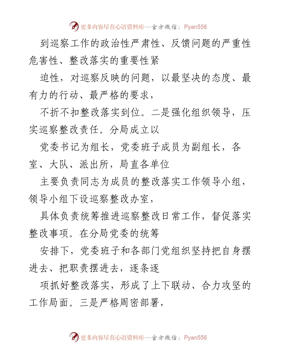 [工作总结] 巡察整改 - xx 市安局 xx 分局巡察整改工作总结报告.docx_第2页