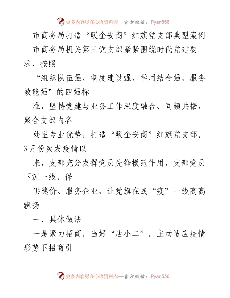 [工作总结] 市商务局 - 打造“暖企安商”红旗党支部的实践与成效_2.docx_第1页