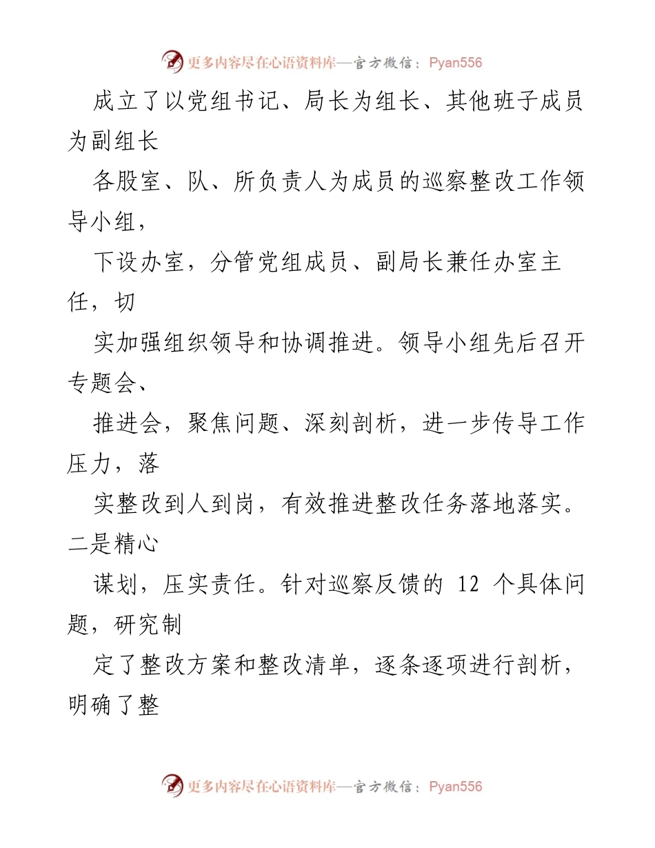 [工作总结] 巡察整改 - 某县市场监督管理局优化营商环境专项巡察整改进展报告.docx_第2页