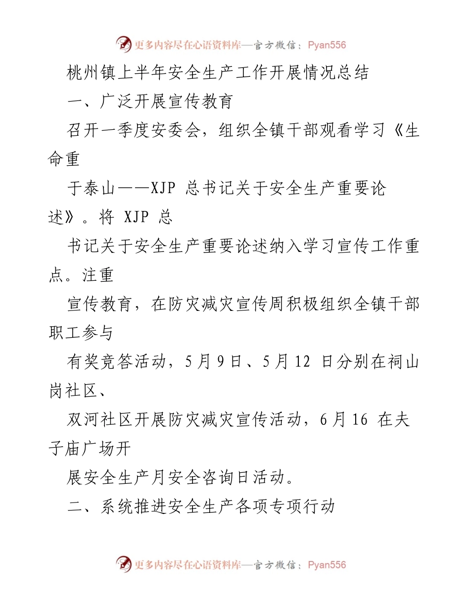 [工作总结] 安全生产 - 桃州镇上半年安全生产工作开展情况总结.docx_第1页