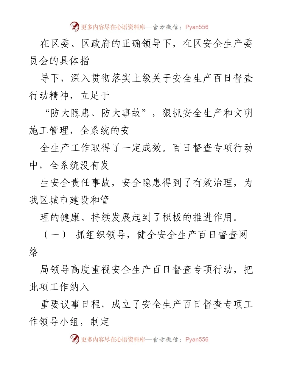 [工作总结] 安全生产百日督查专项行动 - 安全生产百日督查专项行动工作总结.docx_第2页
