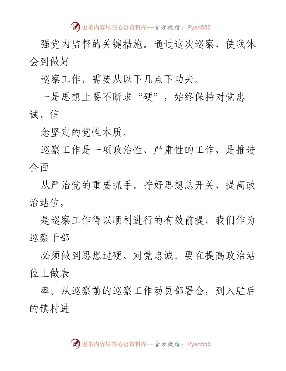 [工作总结] 巡村工作 - 巡察工作心得体会：提升政治站位与专业能力.docx_第2页