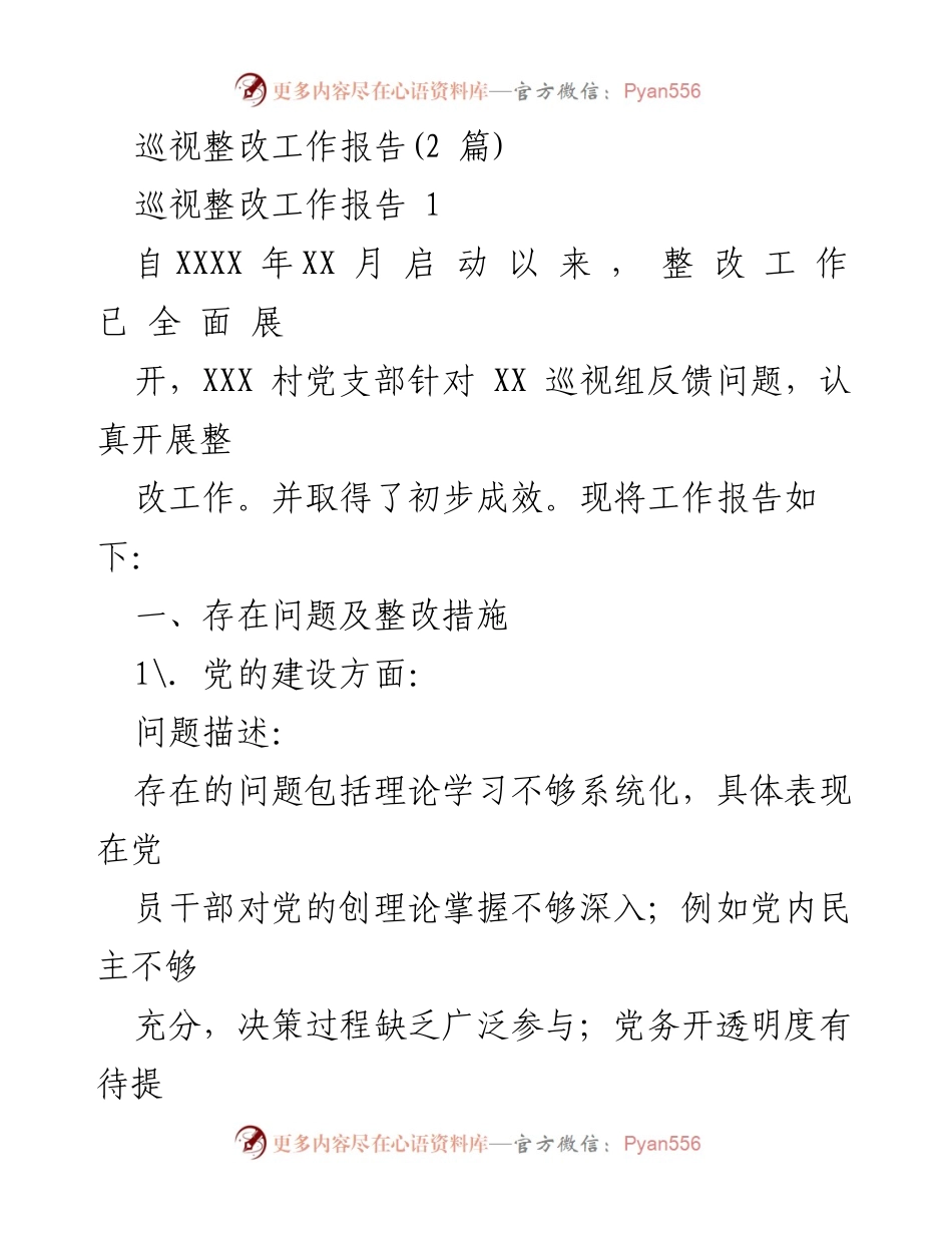 [工作总结] 巡视整改 - XXX村党支部巡视整改工作报告_1.docx_第1页