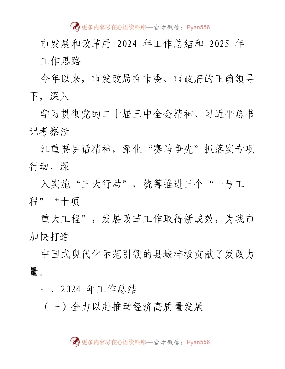 [工作总结] 市发展和改革局 - 2024年工作总结与2025年工作思路概述_1.docx_第1页