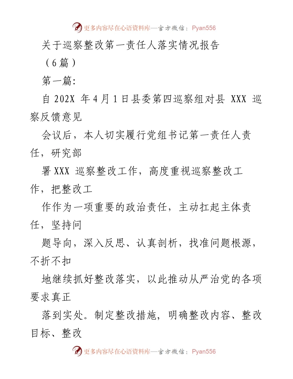 [工作总结] 巡察整改 - 巡察整改第一责任人落实情况报告.docx_第1页