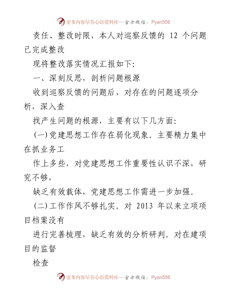 [工作总结] 巡察整改 - 巡察整改第一责任人落实情况报告.docx_第2页
