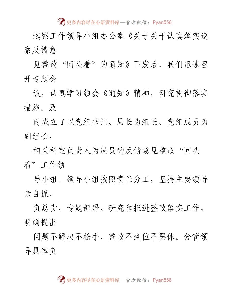 [工作总结] 巡察整改 - 落实巡察反馈意见整改“回头看”情况报告.docx_第2页
