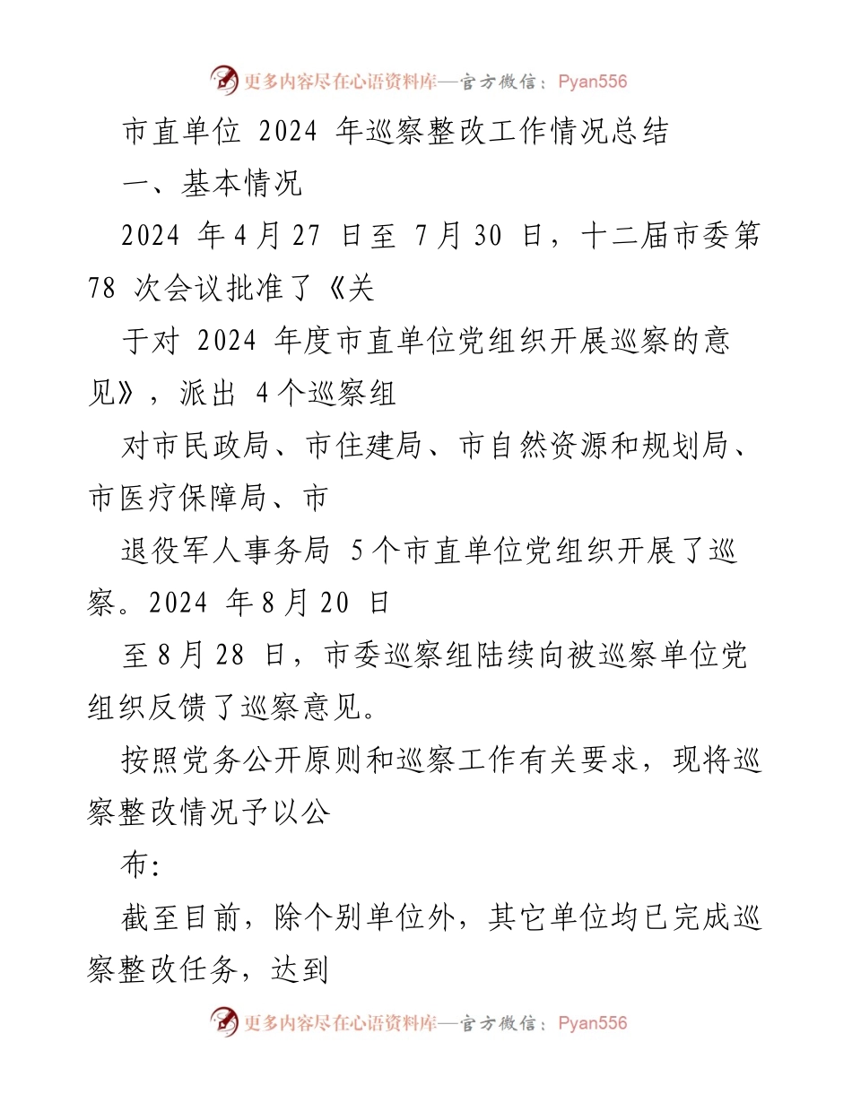 [工作总结] 市直单位巡察整改 - 2024年市直单位巡察整改工作情况总结.docx_第1页
