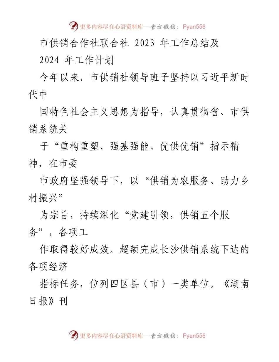 [工作总结] 市供销合作社 - 2023年工作总结与2024年工作计划.docx_第1页