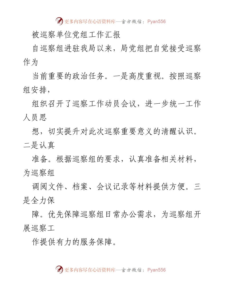 [工作总结] 巡察工作 - 行政审批局党组巡察工作汇报与问题分析.docx_第1页