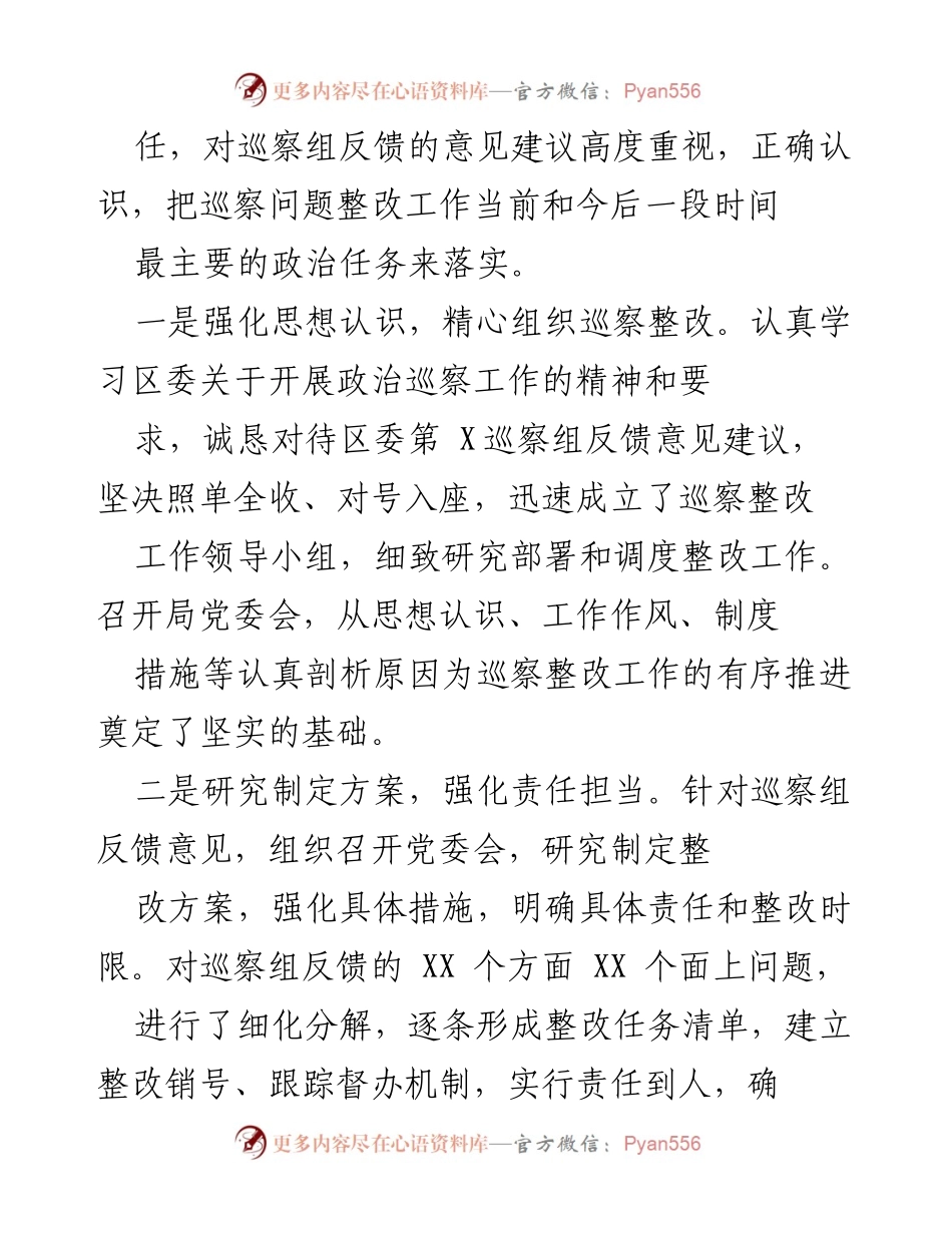 [工作总结] 巡察整改 - 主要负责同志履行主体责任落实巡察整改情况报告.docx_第2页