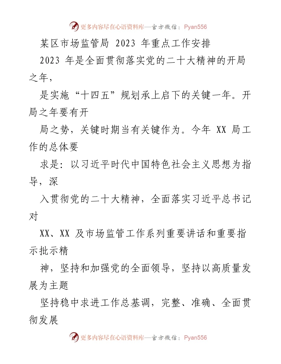 [工作总结] 市场监管局 - 2023年市场监管局重点工作安排与实施计划.docx_第1页