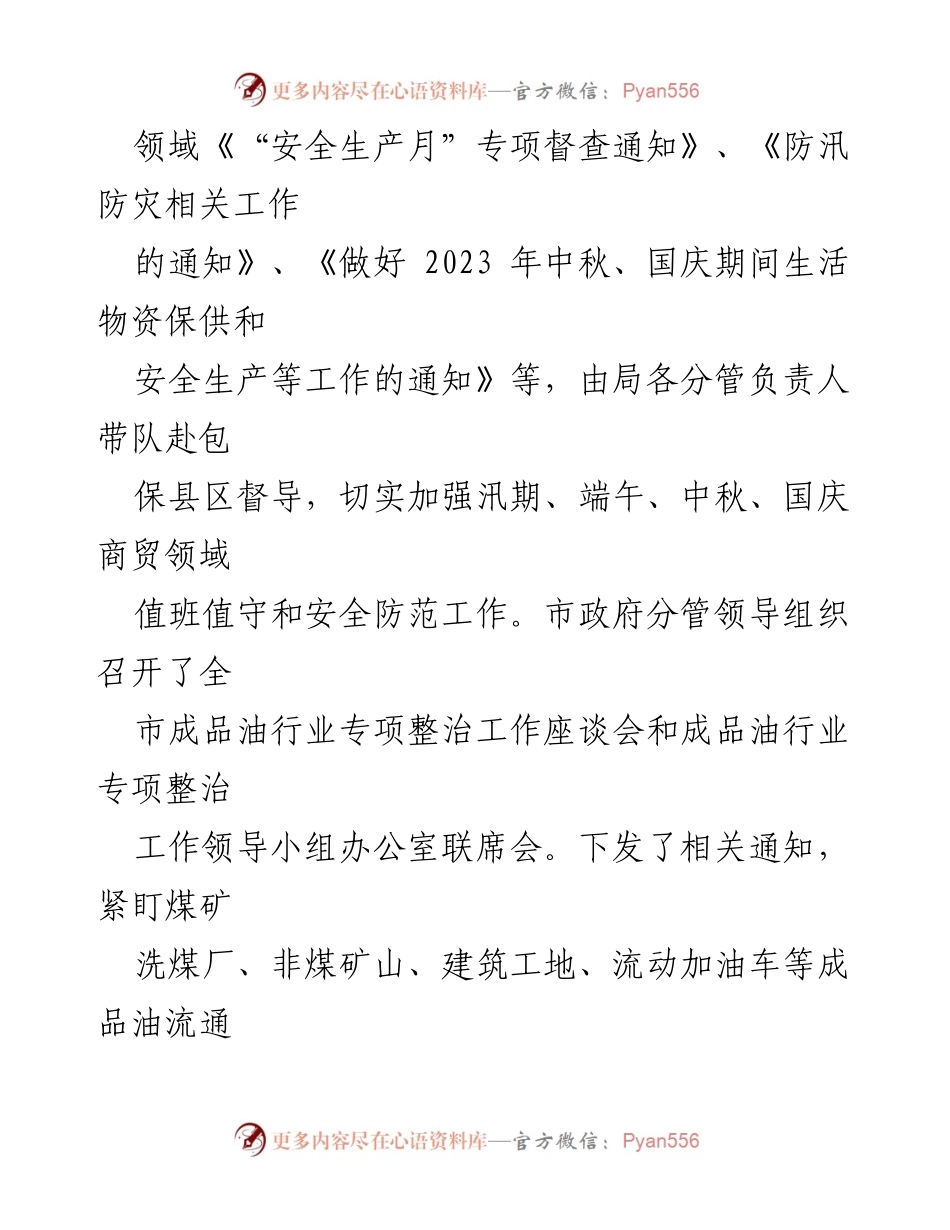 [工作总结] 市商务局 - 2023年工作总结与2024年工作计划_3.docx_第2页