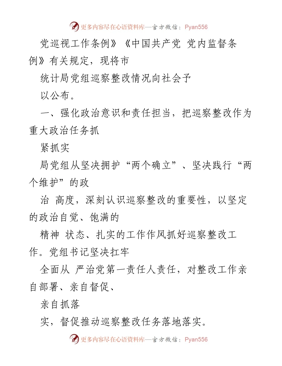 [工作总结] 市统计局 - 巡察整改情况报告.docx_第2页