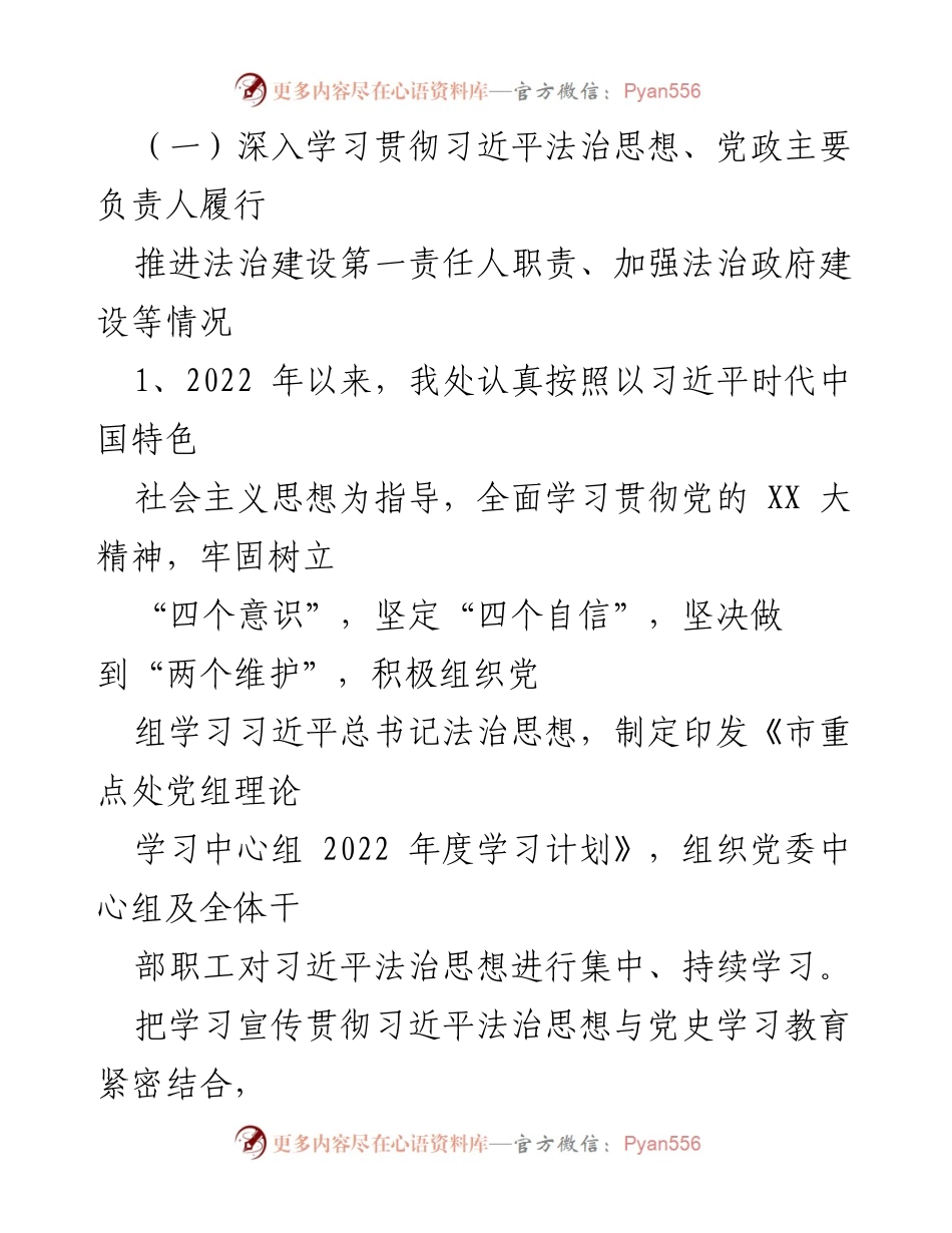 [工作总结] 年度工作总结 - XX市法治政府建设责任落实总结及2023年工作思路.docx_第2页