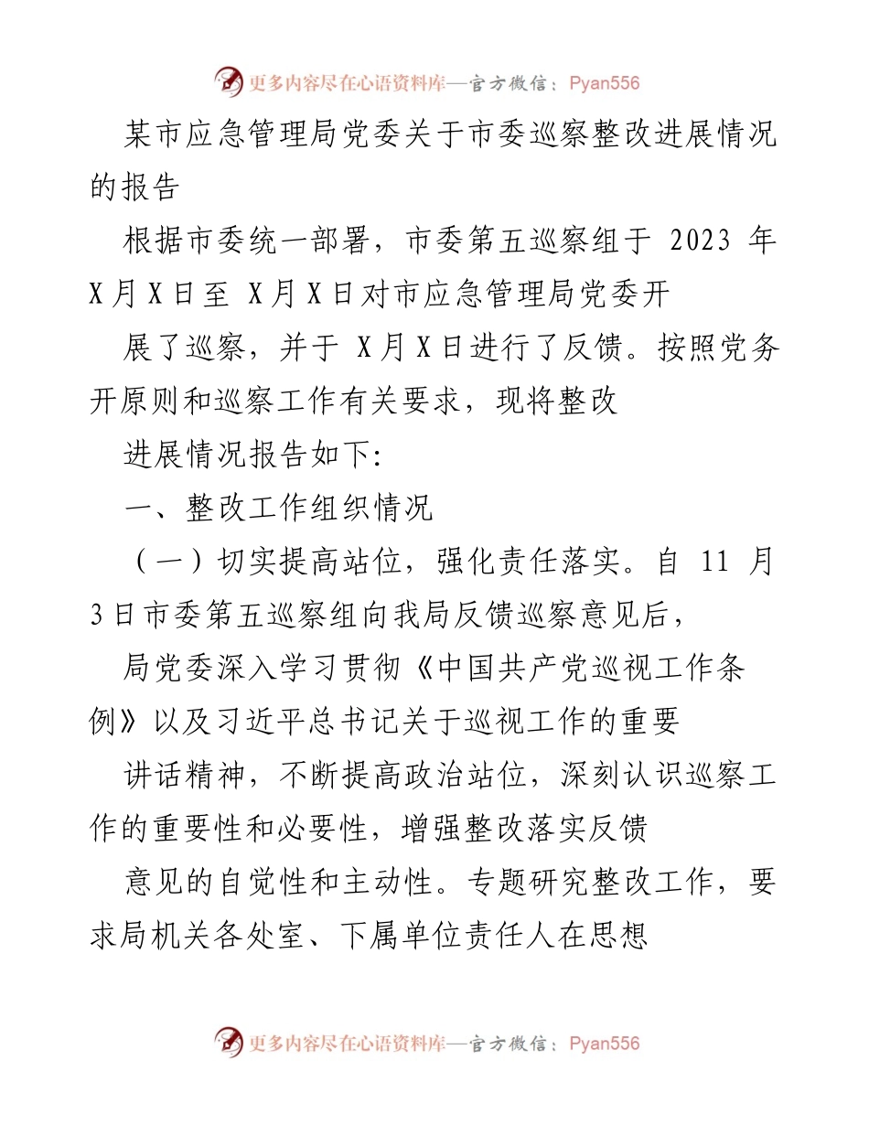 [工作总结] 巡察整改 - 市应急管理局党委巡察整改进展情况报告.docx_第1页