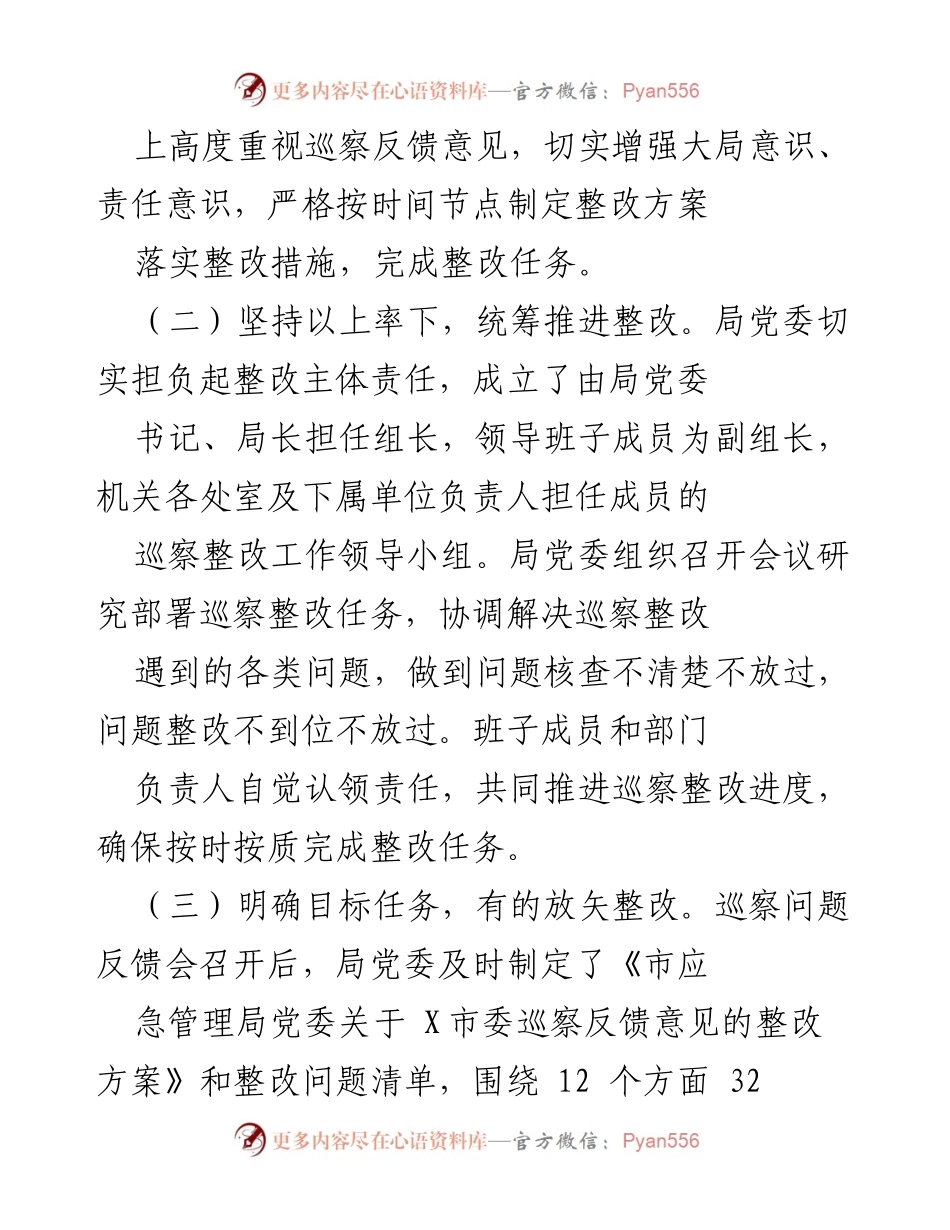 [工作总结] 巡察整改 - 市应急管理局党委巡察整改进展情况报告.docx_第2页