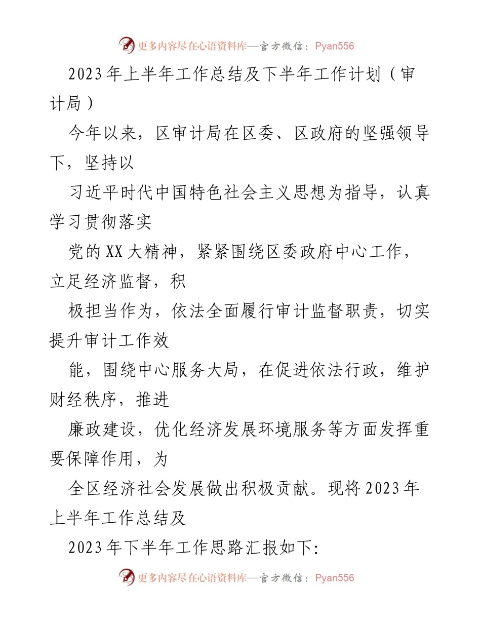 [工作总结] 审计局 - 2023年上半年审计局工作总结与下半年工作计划.docx_第1页