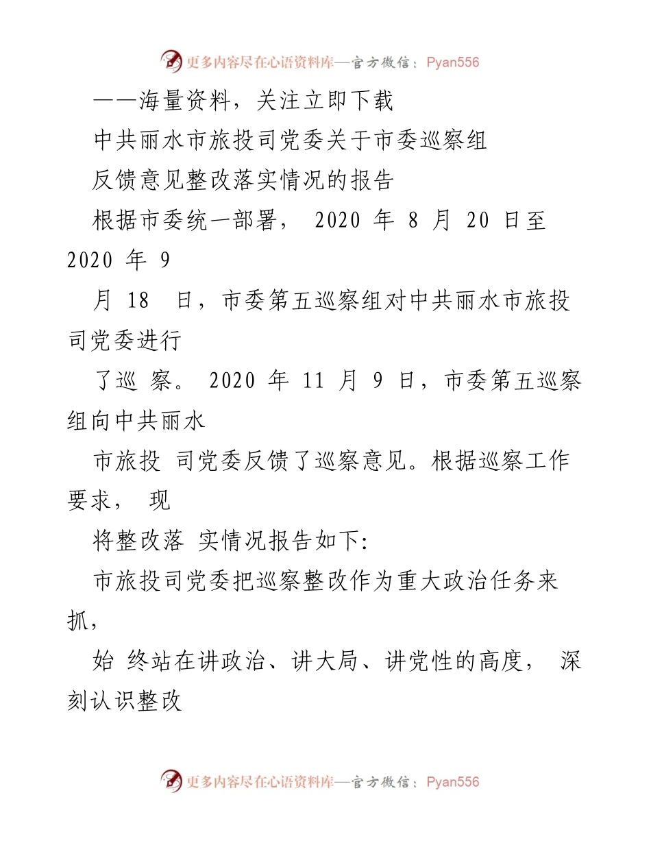 [工作总结] 巡察整改 - 中共丽水市旅投司党委巡察反馈意见整改落实情况报告.docx_第1页