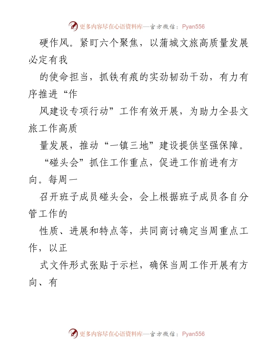 [工作总结] 推动作风建设专项行动 - 蒲城县文化和旅游局作风建设专项行动工作总结.docx_第2页