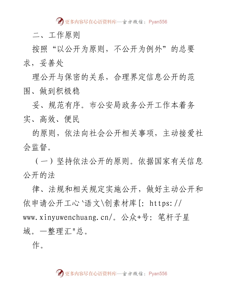 [工作总结] 政务公开工作 - 市公安局2022年度政务公开工作实施方案.docx_第2页