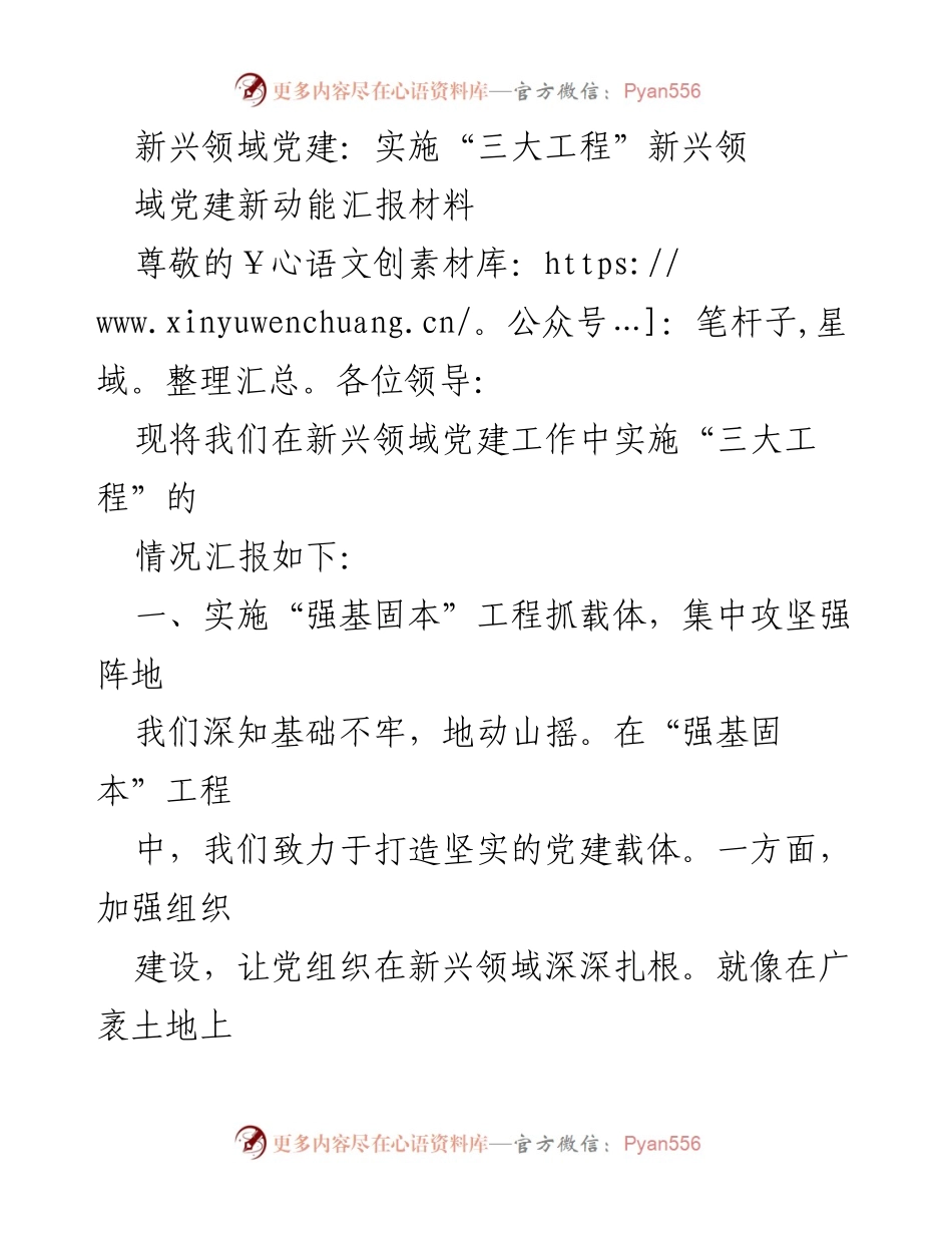 [工作总结] 新兴领域党建 - 新兴领域党建“三大工程”实施情况汇报.docx_第1页