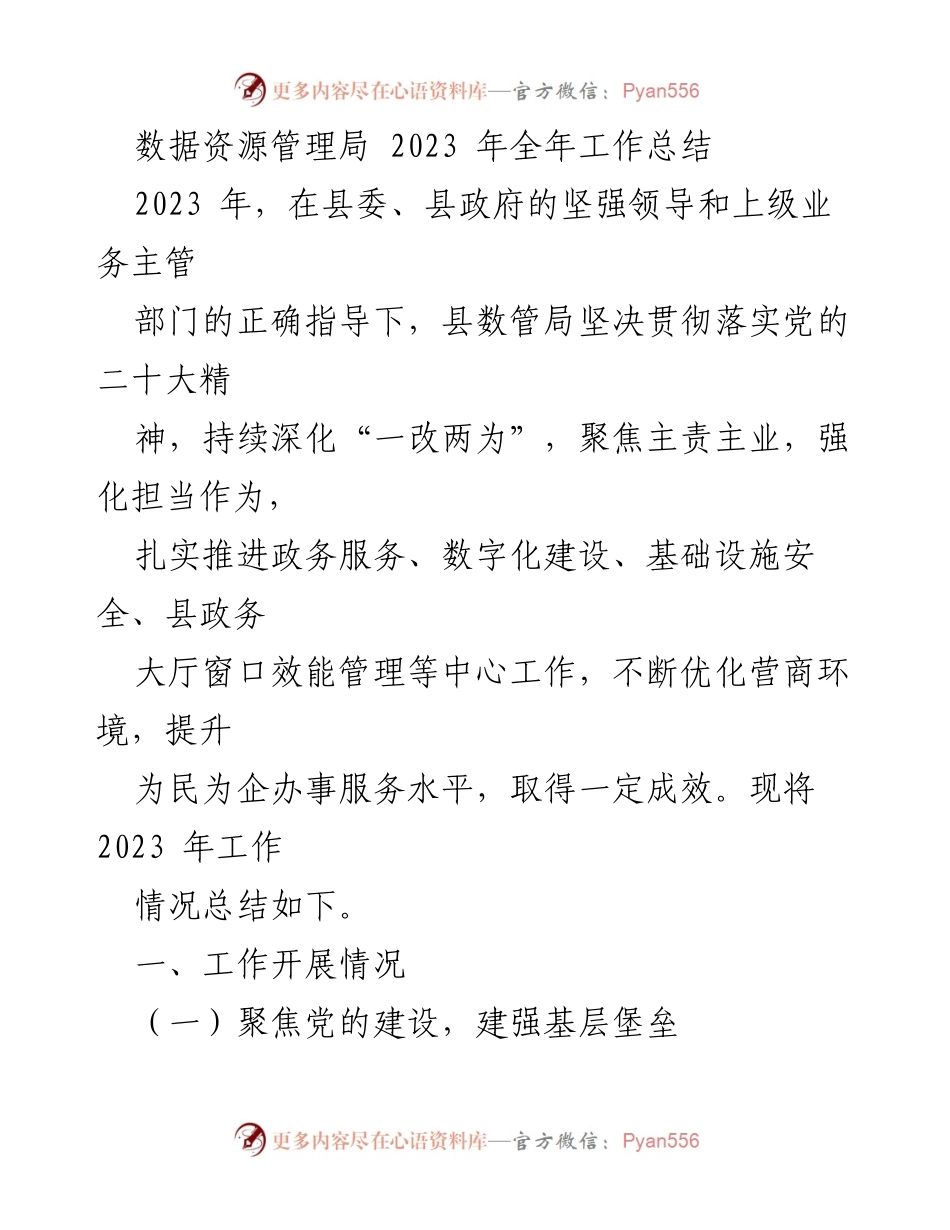 [工作总结] 数据资源管理局 - 2023 年工作成效与政务服务提升总结.docx_第1页