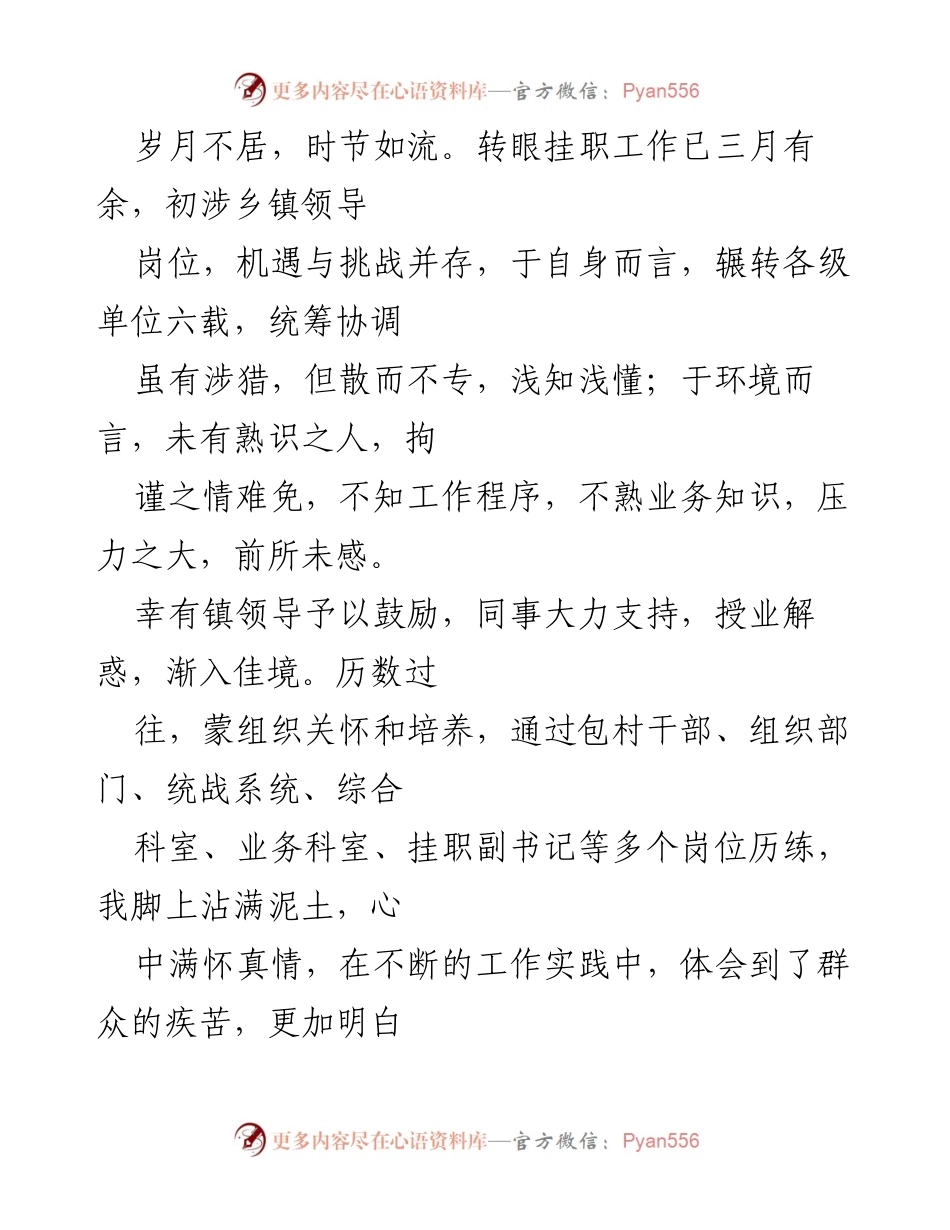 [工作总结] 挂职乡镇工作 - 在基层扎根成长的挂职体会与收获.docx_第2页