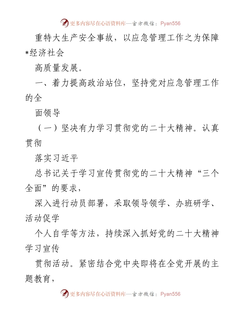 [工作总结] 应急管理工作 - 2023年区应急管理工作要点与实施策略.docx_第2页