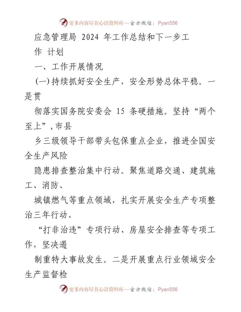 [工作总结] 应急管理局 - 2024年应急管理工作总结与未来计划.docx_第1页