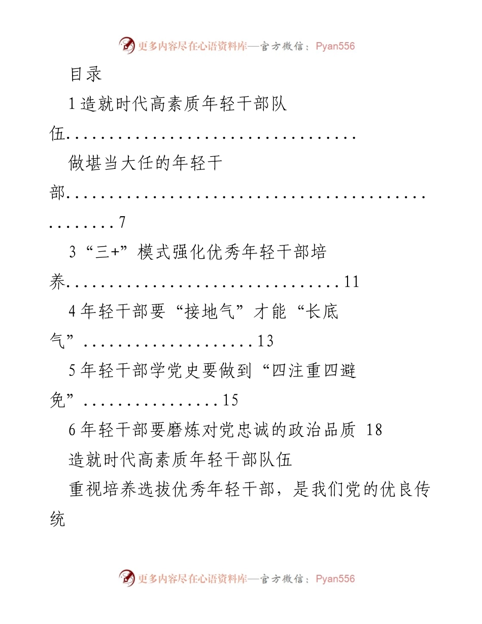 [工作总结] 建设高素质年轻干部队伍的策略与实践.docx_第1页