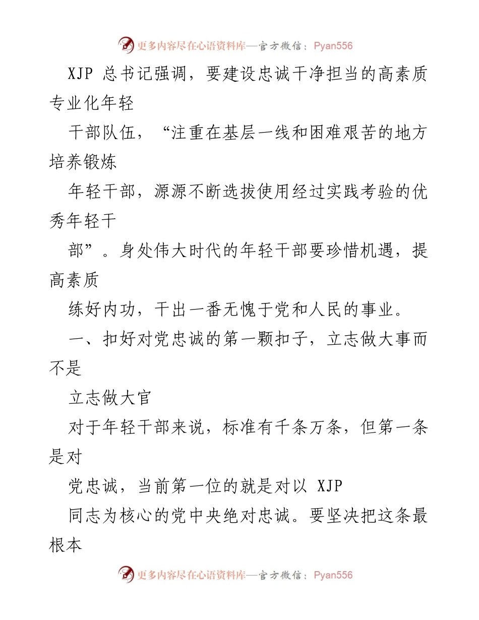 [工作总结] 建设高素质年轻干部队伍的策略与实践.docx_第2页