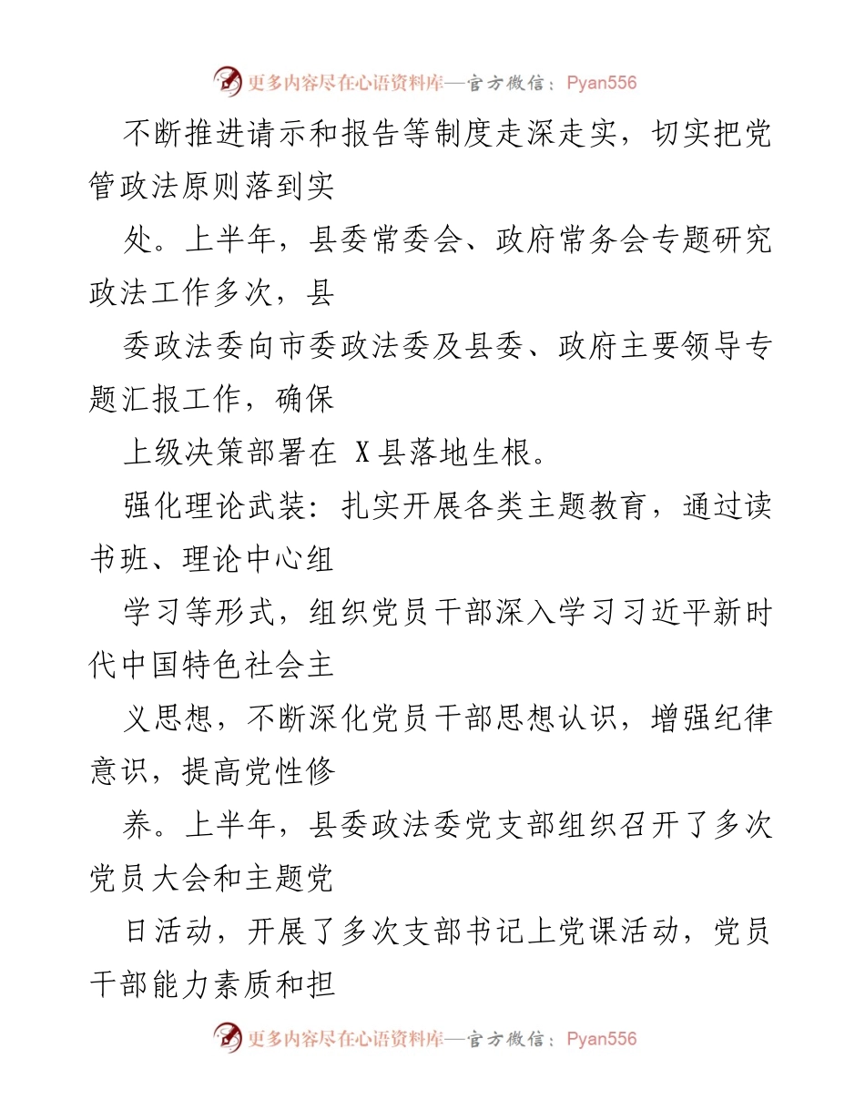 [工作总结] 政法工作 - X县政法委2024年上半年工作总结及下半年工作计划.docx_第2页