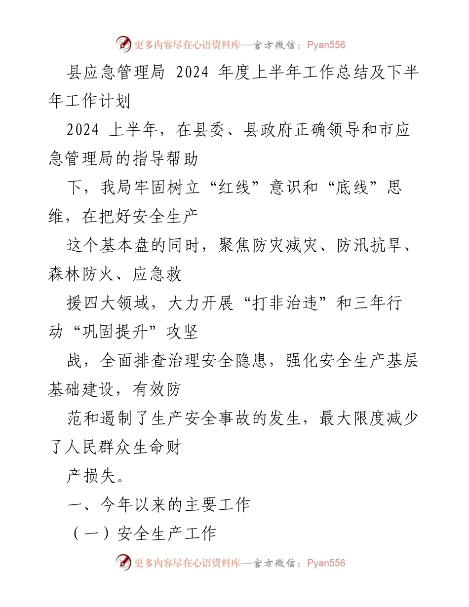 [工作总结] 应急管理局 - 2024年度上半年工作总结及下半年工作计划.docx_第1页