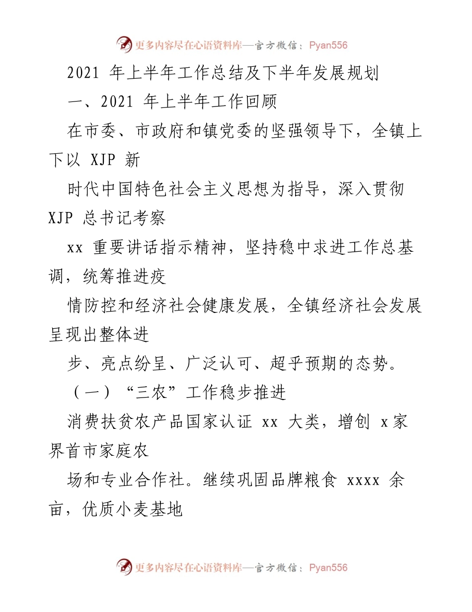 [工作总结] 政府工作会议 - 2021年上半年工作总结及下半年发展规划.docx_第1页