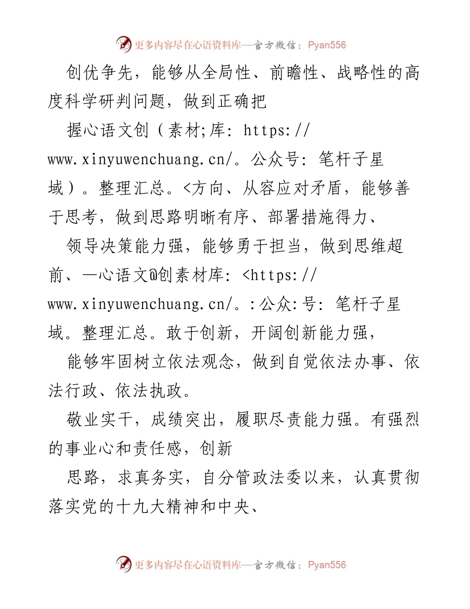 [工作总结] 政法工作会议 - 坚定政治立场，推动社会稳定与安全建设的实践成效.docx_第2页
