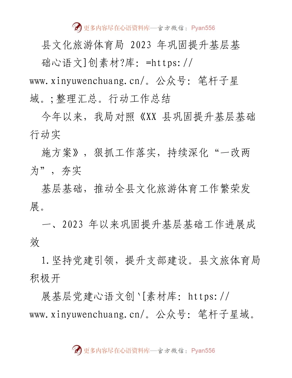 [工作总结] 文化旅游体育局 - 2023 年基层基础行动工作总结.docx_第1页