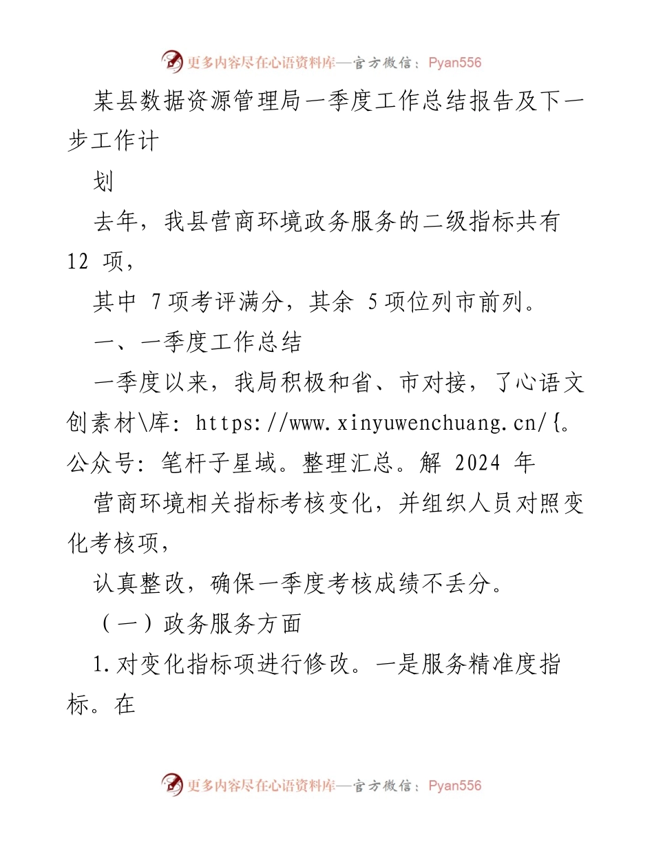[工作总结] 数据资源管理局 - 一季度工作总结与下一步计划报告.docx_第1页