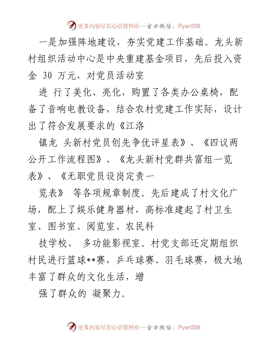 [工作总结] 村党建工作 - 龙头新村党建工作成效与经验总结.docx_第2页