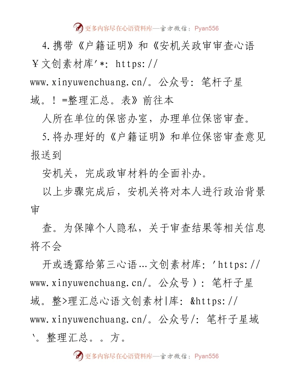 [工作总结] 政审材料补办 - 政审材料补办流程说明.docx_第2页