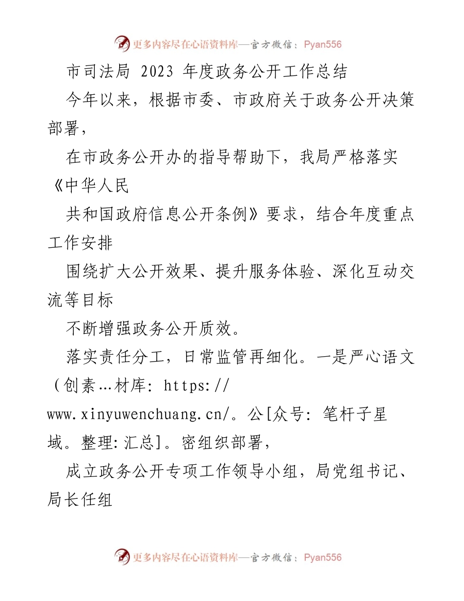 [工作总结] 年度政务公开 - 2023年度市司法局政务公开工作总结.docx_第1页