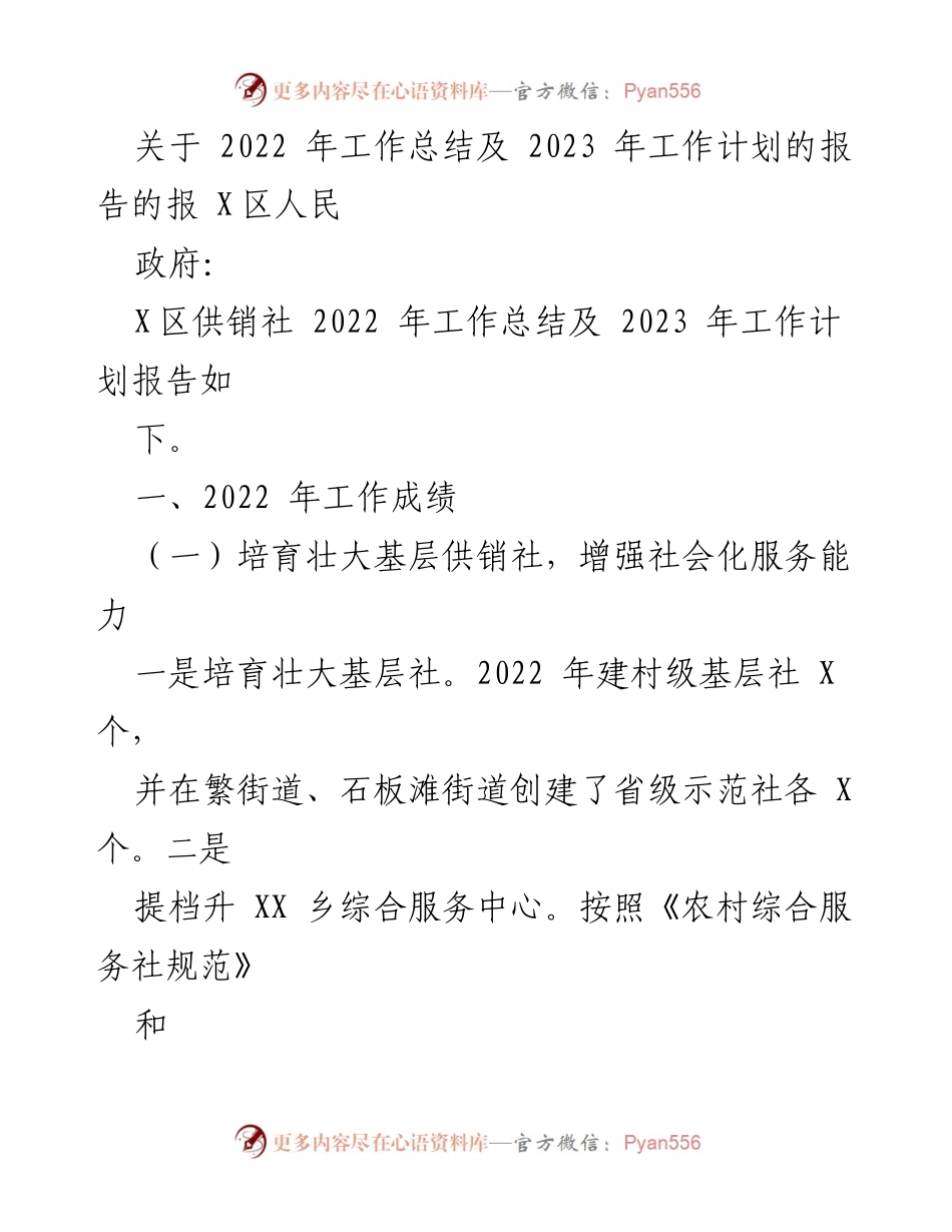 [工作总结] 政府报告 - 2022年工作总结及2023年工作计划报告.docx_第1页