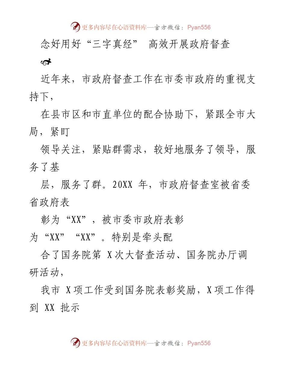 [工作总结] 政府督查 - 高效推进政府督查工作的“三字真经”.docx_第1页