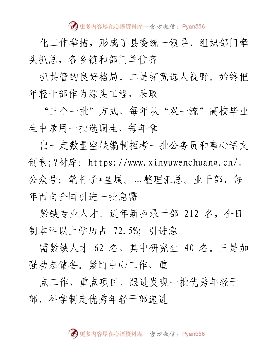 [工作总结] 年轻干部培养选拔工作 - 打造高素质年轻干部队伍的系统谋划与实践历练.docx_第2页