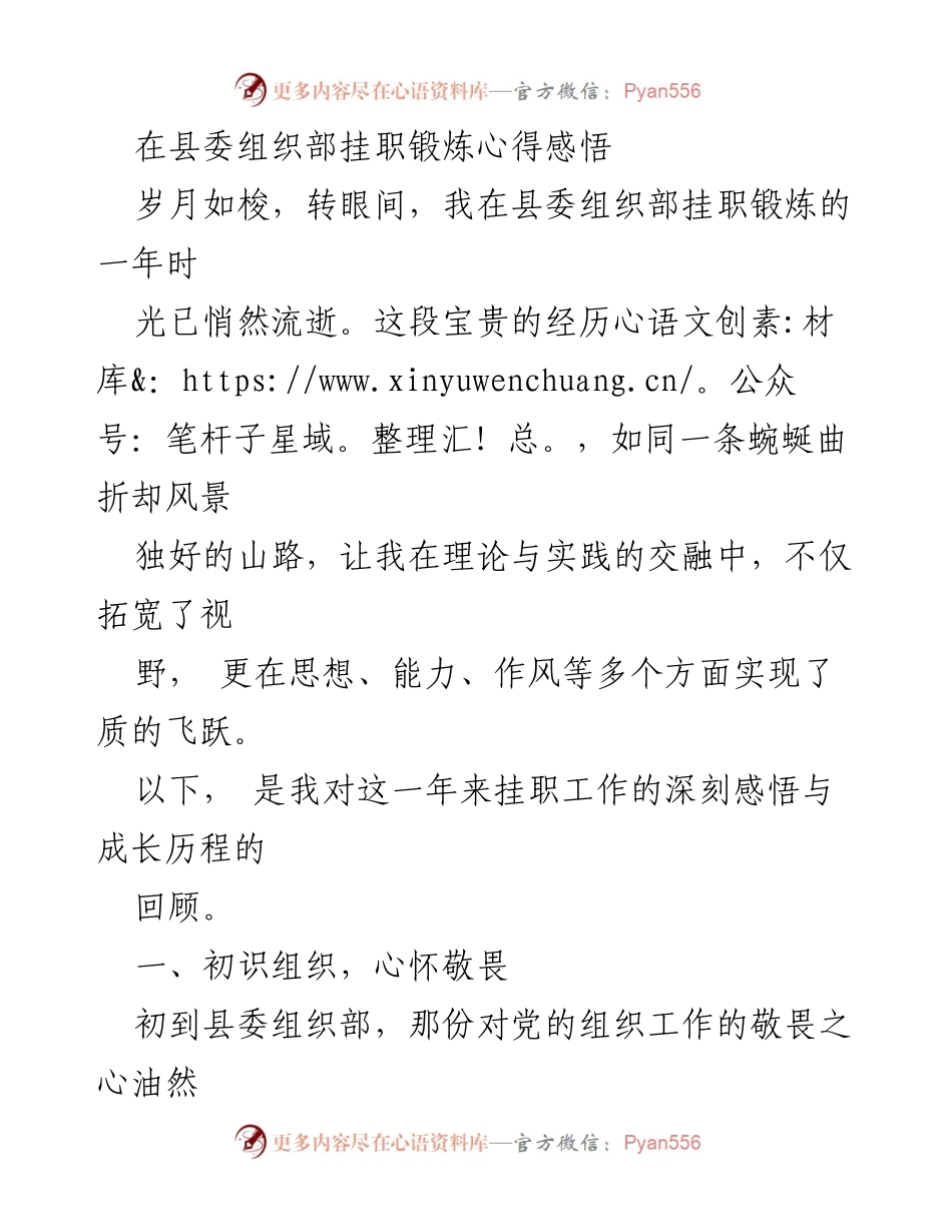 [工作总结] 挂职锻炼 - 挂职锻炼的成长与感悟.docx_第1页