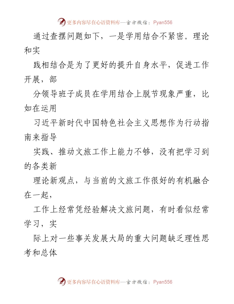 [工作总结] 文化和旅游局 - 领导班子党性检视与整改情况汇报.docx_第2页