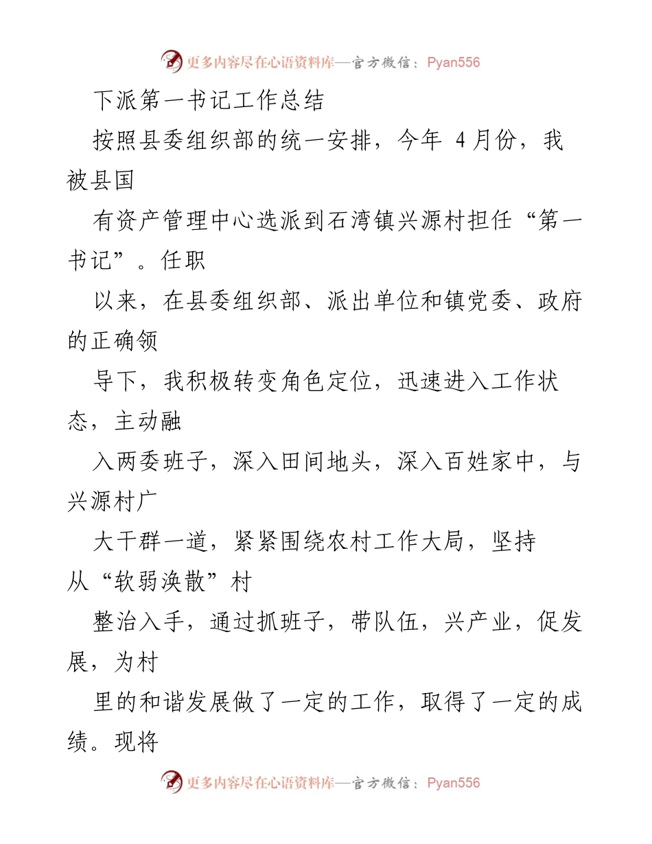 [工作总结] 村务管理 - 兴源村第一书记工作总结报告.docx_第1页