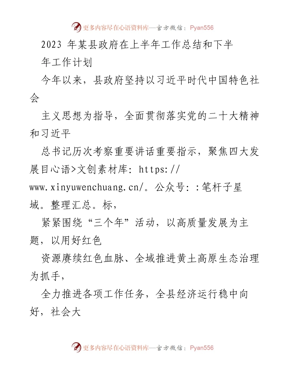 [工作总结] 政府工作 - 2023年某县上半年工作总结与下半年工作计划.docx_第1页