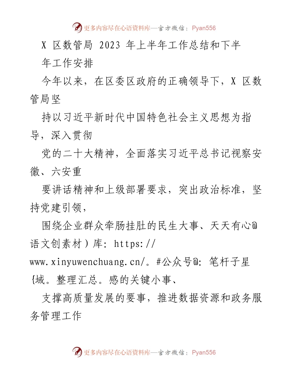 [工作总结] 政务服务 - X 区数管局2023年上半年工作总结与下半年工作安排.docx_第1页
