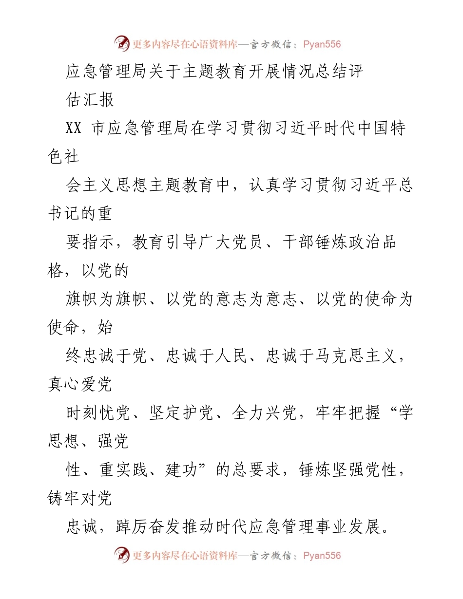 [工作总结] 应急管理局 - 主题教育开展情况总结与评估报告.docx_第1页